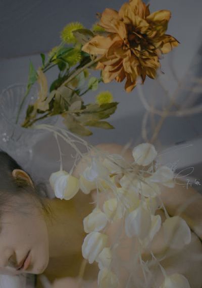 欧美大肥婆另类_BD国语在线观看电视